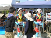 “お茶娘”の説明をしています